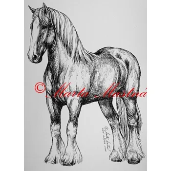 Samolepka kůň shire horse, chladnokrevník, kůň, koně c279 - Malá - přibližně jako pohlednice
