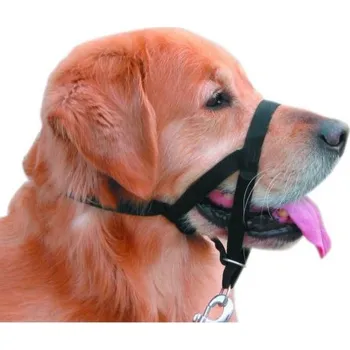 Náhubek pro psa Easy Leader ohlávka 4