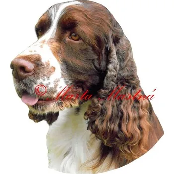 Samolepka špringršpaněl - archiv 335