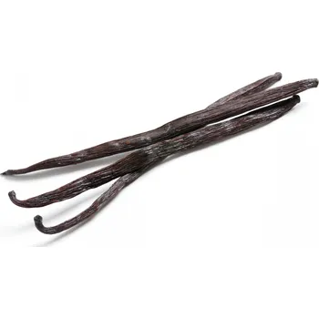 Koření Vanilkový Bourbon lusk 18-20 cm BIO 1 ks Les Fruits du Paradis