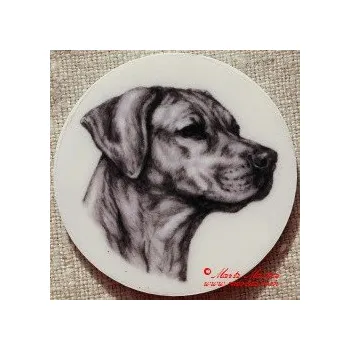 Ridgeback, ridžbek magnet nebo placka - Klips + špendlík