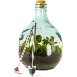 Gardners Skleněné terárium demižon, 5 l - osázené vlhkomilně