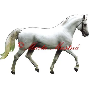 Samolepka shagya arab Salim, kůň, koně 548