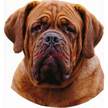 Samolepka bordeauxská doga - archiv 124