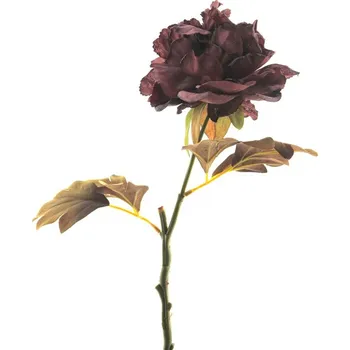 umělá květina Umělá květina Pivoňka - Paeonia větev 'Dutch' (sušená) červená (burgundy) V46 cm
