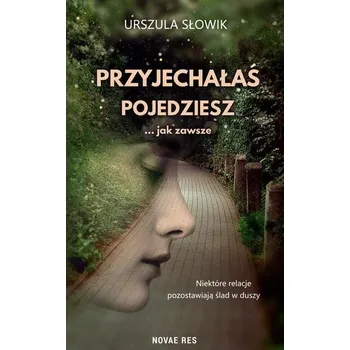 Przyjechałaś, pojedziesz... jak zawsze - Urszula Słowik