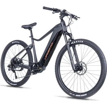 Elektrokolo Leader Fox E-BIKE KENT 29", 19,5"-1, GREY (M510) (K25/9/1/6/29/1/195) K25/9/1/6/29/1/195