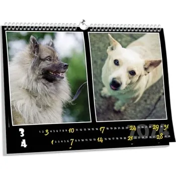 Fotokalendář Nástěnný kalendář NKN-32 (A5)
