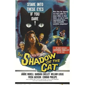 Plakát Plakát, Obraz - Shadow Of Cat