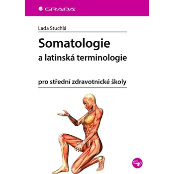 Somatologie a latinská terminologie