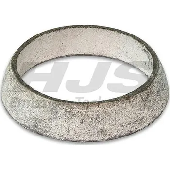 Těsnění výfuku Těsnicí kroužek, výfuková trubka HJS 83 12 2188