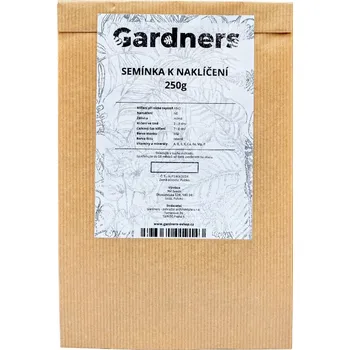 Semeno Mizuna japonská hořčice semínka k nakličování 250 g