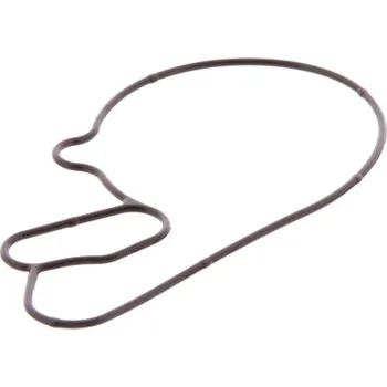 Piaggio Těsnění krytu vodní pumpy 1A001276