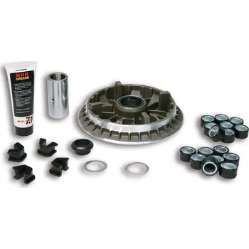 Motodíl Malossi Variátor MHR T-Max 04-11 5114855