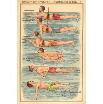 Plakát Plakát, Obraz - Friedrich Eduard Bilz - Natation