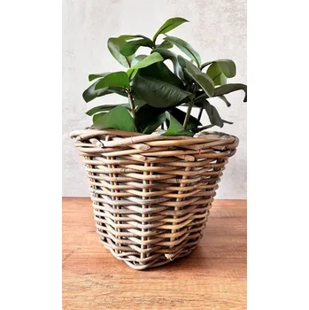 Květináč Ratanový květináč kulatý vyšší