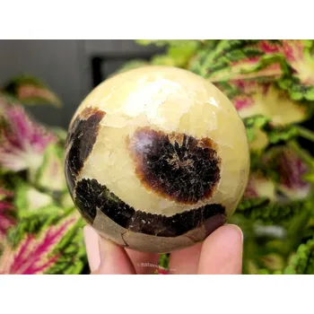 Přírodní kámen Koule septarie Ø61mm 328g Madagaskar