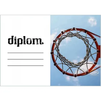DB03d Diplom basketbal