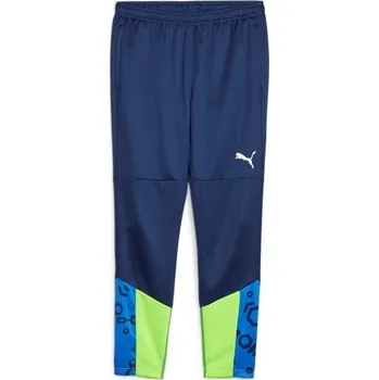 Pánské kalhoty Kalhoty Puma individualCUP Training Pants 658487-54 Velikost M