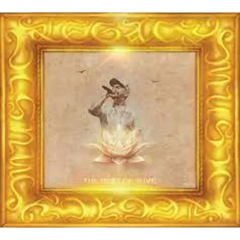 Česká hudba Suvereno: Best oF Suve - CD