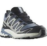 Salomon Pánské boty Xa Pro 3D V9 GTX EU 45 ⅓, Flint Stone/Black/Ghost Gray