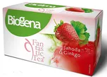 Biogena Fantastic Tea jahoda/Ginkgo 20…