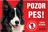 JUKO petfood Pozor pes! Zákaz vstupu!, border kolie