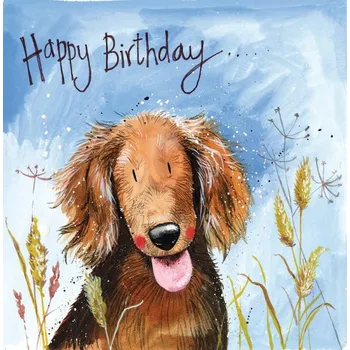 Pes Přání pejsek, v obálce Bertie-Alex Clark