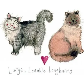 Alex Clark Art Přání v obálce kočky, Lovable Longhairs