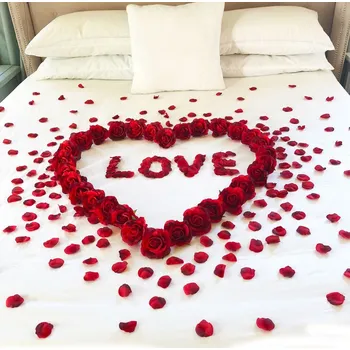 Gadget Postel plná růží 100 ks