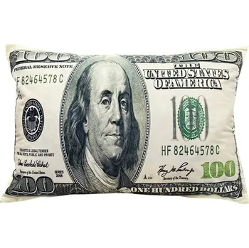 Polštář Numberoplus Dekorační polštář bankovka 100 Dollars - 35x60 cm