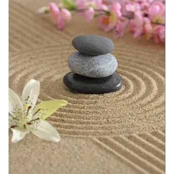 Fototapeta DIMEX | Vliesová fototapeta na zeď Zahrada Zen MS-3-0117 | 225 x 250 cm | béžová, šedá, růžová, žlutá + Vliesová fototapeta na stěnu DIMEX Zahrada Zen MS30117 v rozměru 225 x 250 cm + lepidlo zdarma