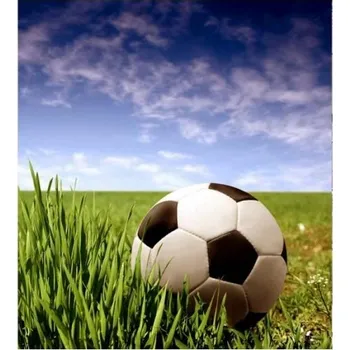 Fototapeta DIMEX | Vliesová fototapeta na zeď Fotbalový míč MS-3-0305 | 225 x 250 cm | zelená, modrá, bílá, černá + Vliesová fototapeta na stěnu DIMEX Fotbalový míč MS30305 v rozměru 225 x 250 cm + lepidlo zdarma