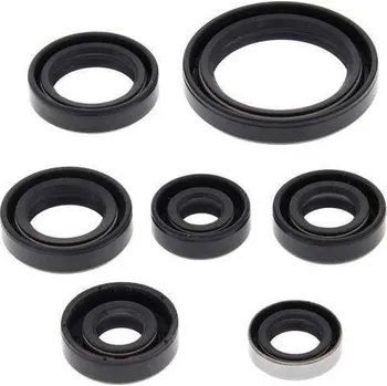 Těsnění motoru Winderosa sada gufer motoru Kawasaki KFX250 Mojave 87-04