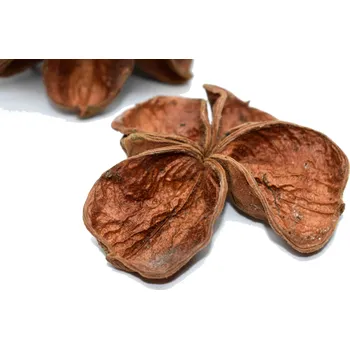 umělá květina Drydec.cz Land lotus natur 2ks