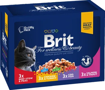 Krmivo pro kočku Brit Premium Cat Family Plate 12x 100 g