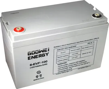 Trakční baterie Goowei 6-EVF-100 12 V 100 Ah