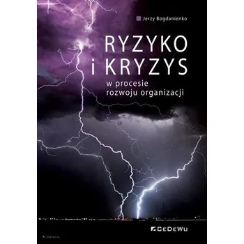Ryzyko i kryzys w procesie rozwoju organizacji - Mattia Fontana