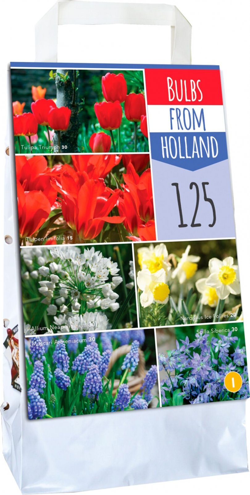 JUB Holland Bulbs From Holland mix cibulovin 125 ks Zbozi.cz