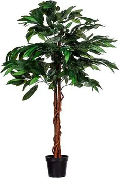Umělá květina Plantasia Umělý mangovník 120 cm
