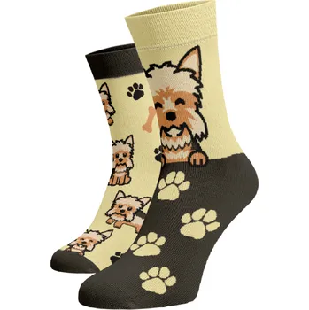 Dámské ponožky Veselé ponožky Jorkšír Žlutá Bavlna 42-44