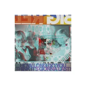 Zahraniční hudba How Long Do You Think It's Gonna Last? - Big Red Machine [CD]