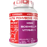 GIOM Akutní pohybové potíže