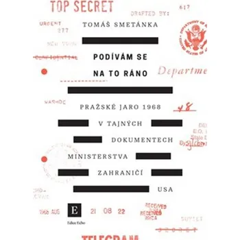 Recenze Podívám se na to ráno - Tomáš Smetánka (2018, brožovaná)