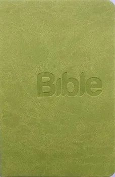 Bible: Překlad 21. století - Alexandr Flek (2019, brožovaná bez přebalu)