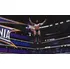 Hra pro Xbox One WWE 2K19 Xbox One