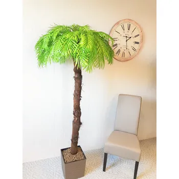 umělá květina Umělá palma světlá- 200cm