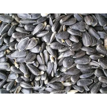 Krmivo pro hospodářské zvíře Zemědělské družstvo K. Most Slunečnice černá 25 kg