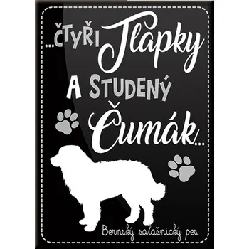 Dekorativní magnet Magnet se psem Berňák