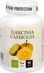 Natural Medicaments Garcinia Cambogia…